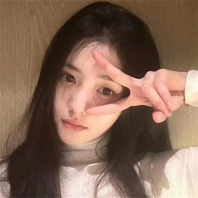 熊猫计划